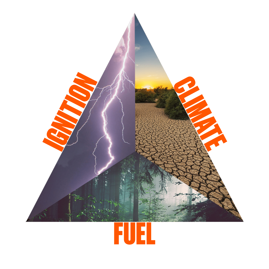 triangle showing ignition, climate and fuel as its three sides