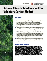 Natural Climate Solutions and the Voluntary Carbon Market