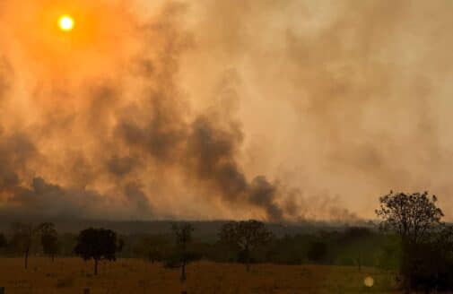 the sun illuminates a smoky, hazy sky in orange over dry fields with a few trees