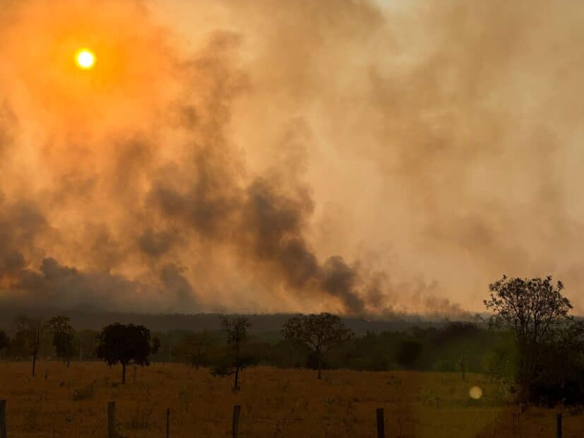 the sun illuminates a smoky, hazy sky in orange over dry fields with a few trees