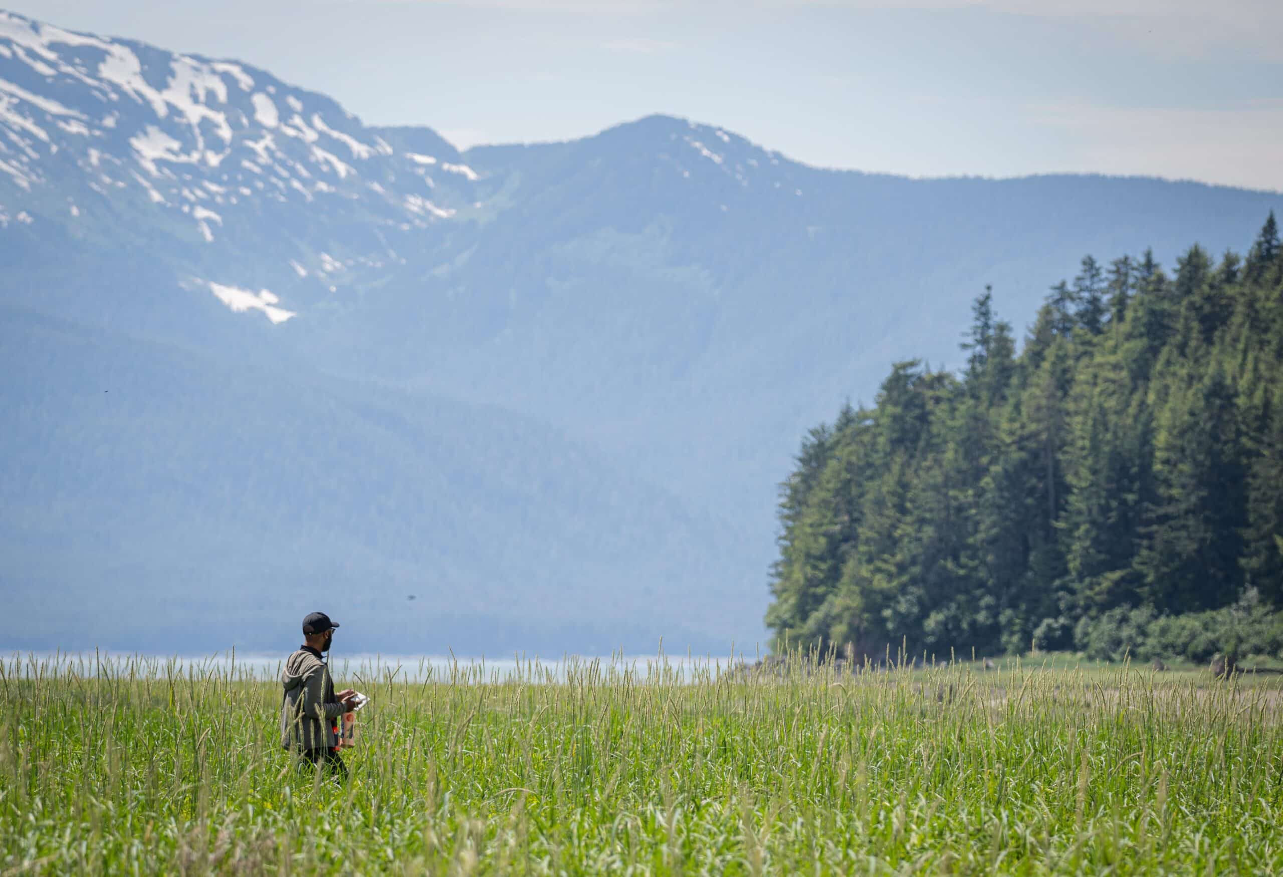 Nigel golden stands in a field