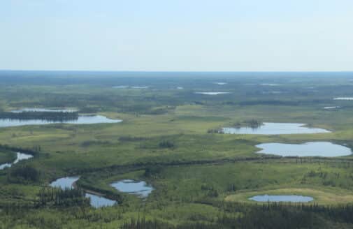 an aerial photo of the Alaskan tundra, showing a green landscape with many small lakes