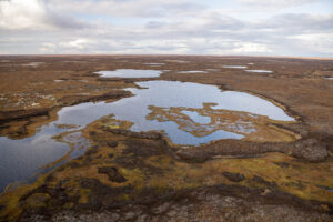 aerial photo of a large irregular lake on the Alaskan tundra, in the Y-K Delta. the ground is covered with low-growing orange and brown vegetation