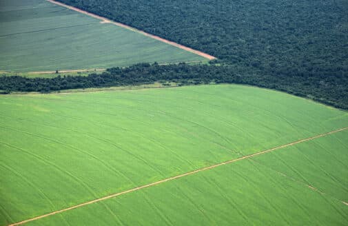 Cropfield and forest in the Amazon