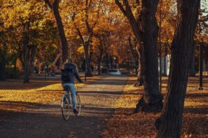 a woman wearing a jacket rides a bike through a park. The trees have autumnal orange and yellow foliage