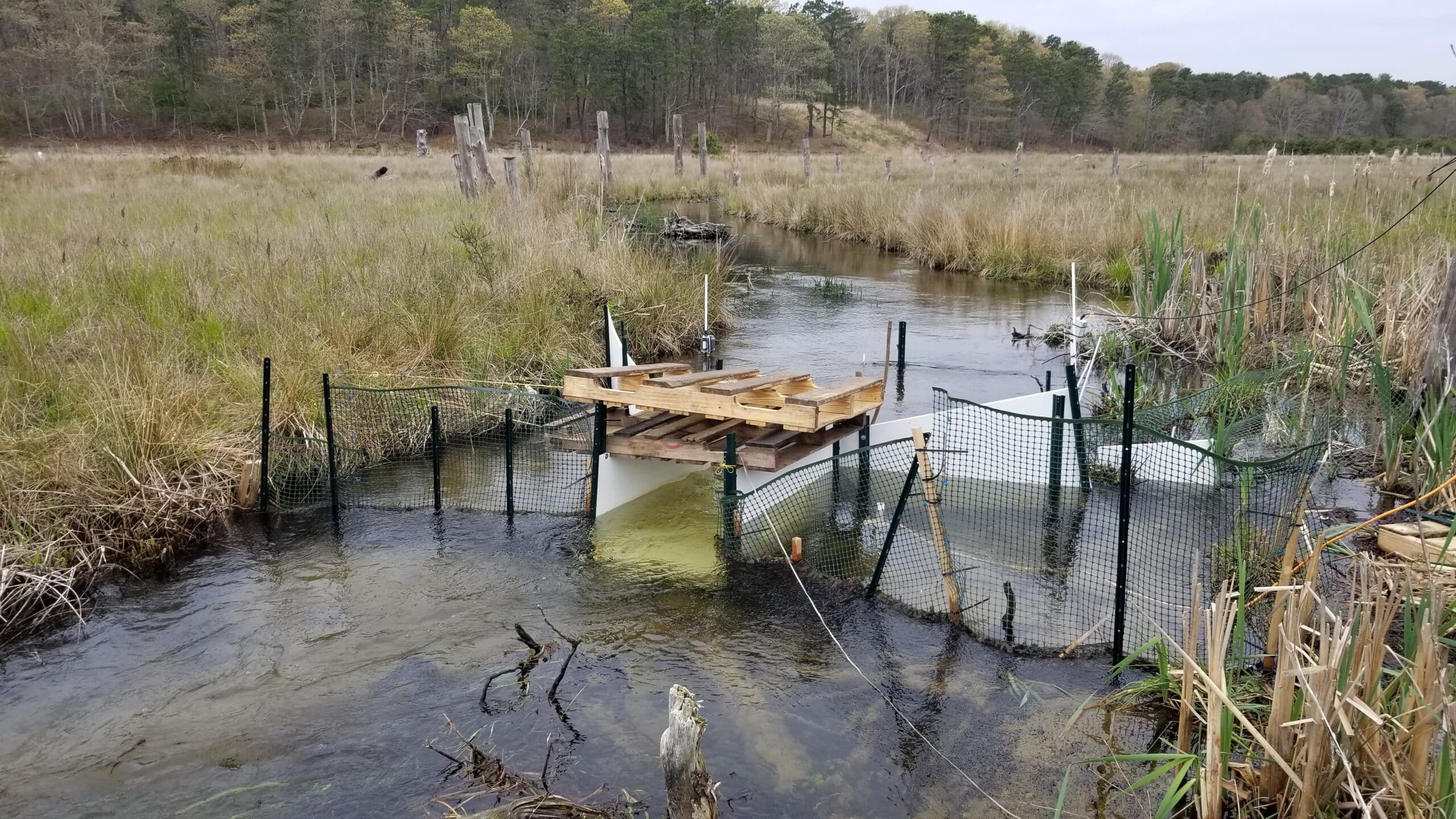 in a river, nets and white plastic create a funnel to direct fish underneath a wooden pallet that houses camera equipment