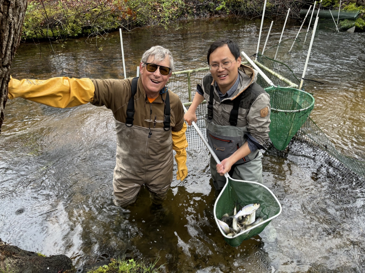 two men wearing waders stand in a river. one is wearing yellow gloves, the other one holds a green net full of medium-sized silver fish